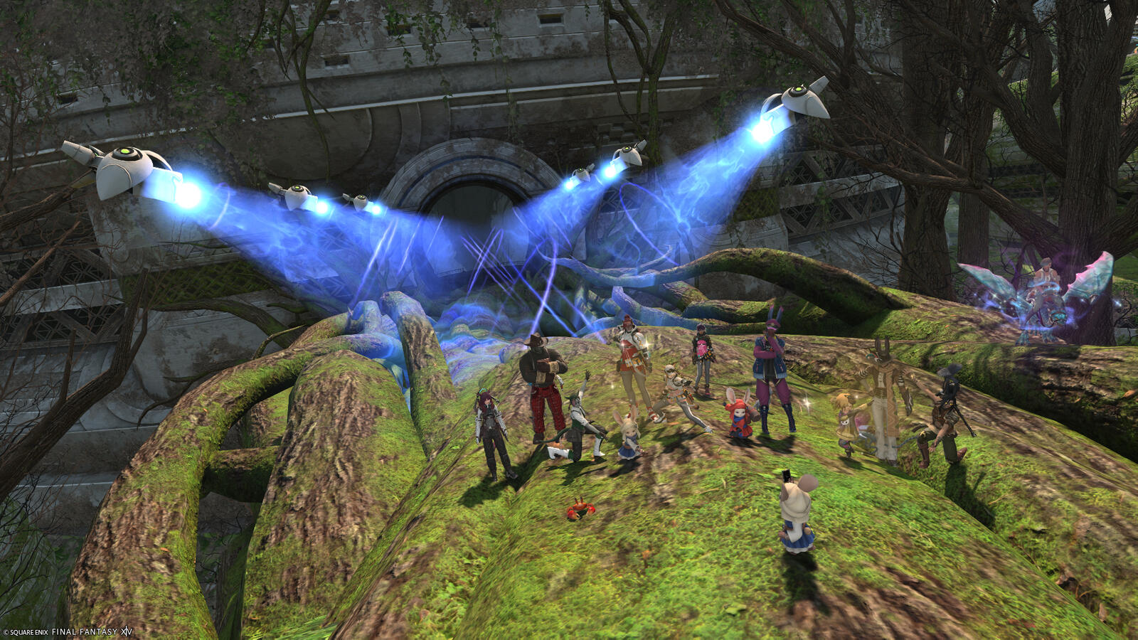 A handful of Warriors of Light gather with Namingway at the edge of an amazing bridge sculpted out of living tree roots, leading down into the cavernous home of the Rooting Towerling, where the rest of the Warriors of Light who helped with the FATE have ga